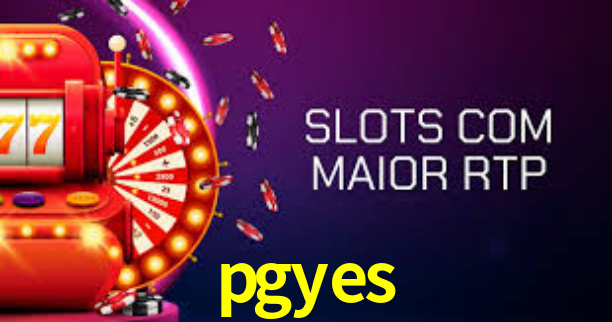 pgyes.com